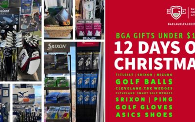 12 Days of Christmas Giveaway – Gifts under $100