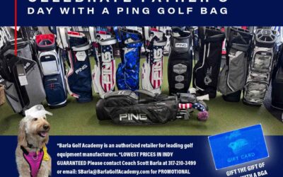 Father’s Day Special ~ PING Golf Bags – Lowest Prices in Indy