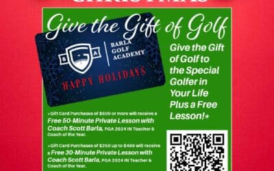 Christmas Gift Card Promotion 12/24/24
